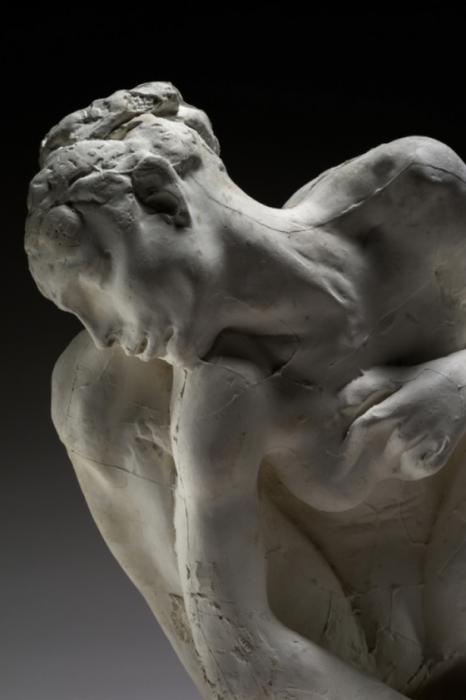 Rodin、noir et blanc Amazon.fr - Rodin en 1900 : l'exposition de l'Alma : exposition